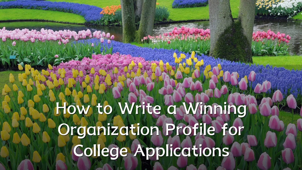 How to Write a Winning Organization Profile for College Applications
