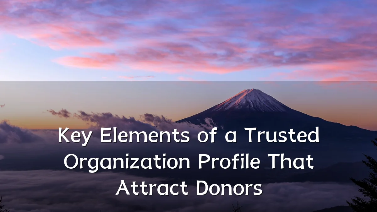 Key Elements of a Trusted Organization Profile That Attract Donors